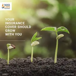 Mutual funds
