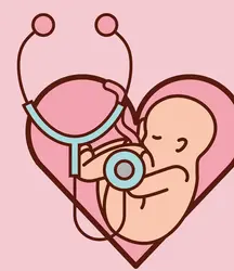 Gynaecology & Obstetrics