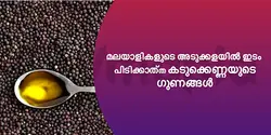 മലയാളികളുടെ അടുക്കളയിൽ ഇടം പിടിക്കാത്ത കടുക്കെണ്ണയുടെ ഗുണങ്ങൾ 