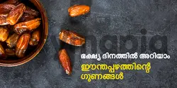 ഭക്ഷ്യ ദിനത്തിൽ അറിയാം ഈന്തപ്പഴത്തിന്റെ ഗുണങ്ങൾ 