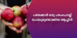 പഴമക്കാർ ഒരു പഴംചൊല്ല് പോലുമുണ്ടാക്കിയ ആപ്പിൾ 
