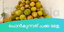 പൊൻകുന്നത് ചക്ക മേള 