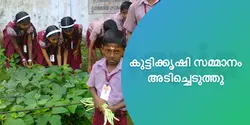 കുട്ടിക്കൃഷി സമ്മാനം അടിച്ചെടുത്തു 