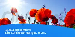 പുഷ്പാലങ്കാരത്തിൽ മനോഹരിയായി കോട്ടയം നഗരം 