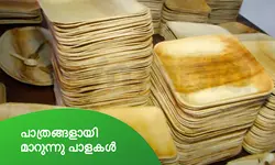 പാത്രങ്ങളായി മാറുന്നു പാളകൾ 