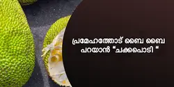 പ്രമേഹത്തോട് ബൈ ബൈ പറയാൻ "ചക്കപൊടി "