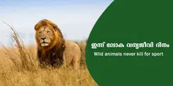 ഇന്ന് ലോക വന്യജീവി ദിനം - Wild animals never kill for sport 