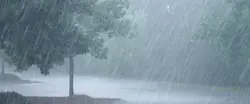 സംസ്ഥാനത്ത് ഇന്ന് മുതൽ ഒറ്റപ്പെട്ട ശക്തമായ മഴയ്ക്ക് സാധ്യത