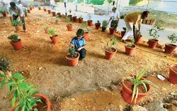 10 ദിവസം നീണ്ട പരിശ്രമം; മാലിന്യം നീക്കി, പൂന്തോട്ടമൊരുങ്ങി