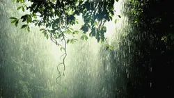 ചക്രവാതച്ചുഴി; സംസ്ഥാനത്ത് ഇന്നും ഒറ്റപ്പെട്ട ഇടങ്ങളില്‍ മഴയ്ക്ക് സാധ്യത