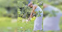 മരത്തൈകൾ പിഴുത് പ്രതിഷേധിച്ച് കിഫ