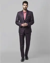 Park Avenue Maroon Regular Fit Suit