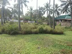 Commercial Plot for Sale 