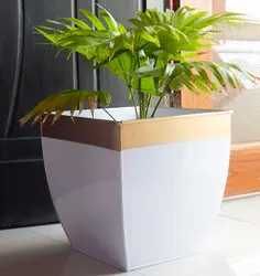 Indoor Pots