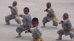 Shaolin Kungfu Programs