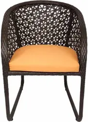 Sree Bhadra Furniture Metal Outdoor Chair