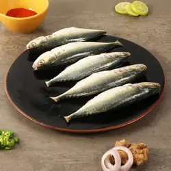 Mackerel fish