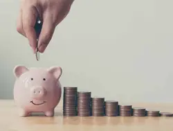 Mutual fund advisor 