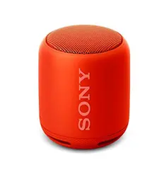 SRS-XB10 EXTRA BASS Portable Wireless Speaker