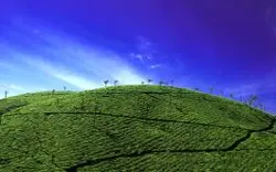Scenic Kerala