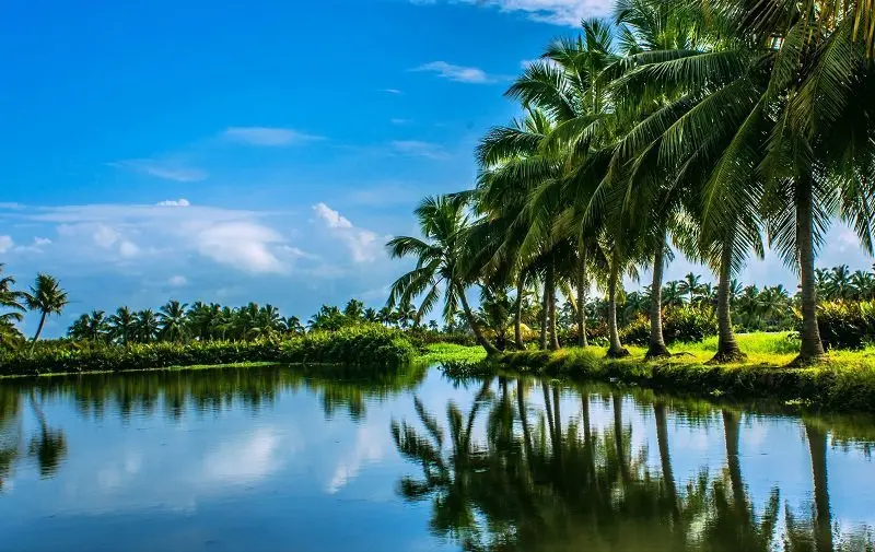 A Short Trip to the land of coconut trees - Best Travel and Tour Packages in Kottayam | Travel Insight - Kottayam