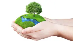 Laudato Si Campaign
