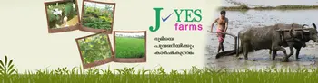 J YES Farms