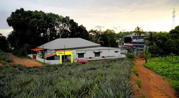 Maveli Bazaar