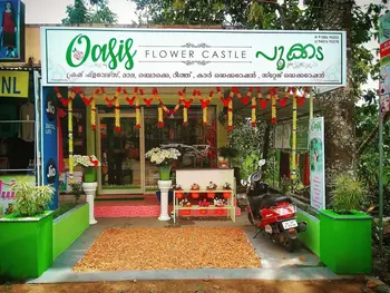 Oasis Flower Castle