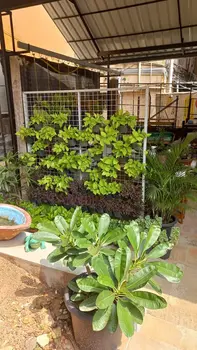 T&T Home Garden Store