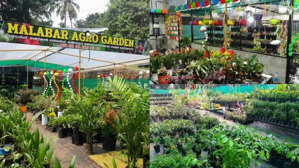 Malabar Agro Garden - Plant Nursery
