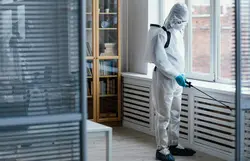 Termite Treatment