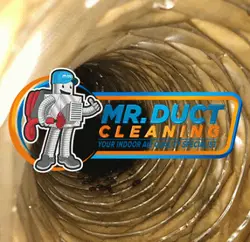 Duct cleaning services 