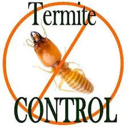 Termite Inspection