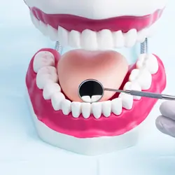 General Dentistry