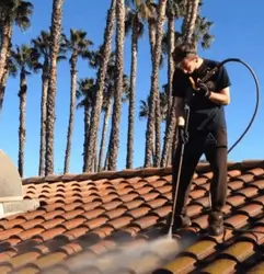 Roof Cleaning