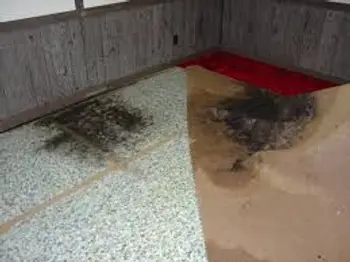 Capital Restoration Cleaning