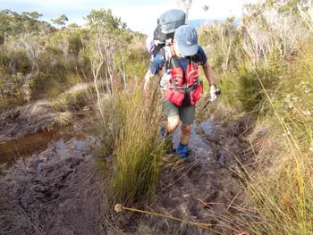Wild Trek Tours