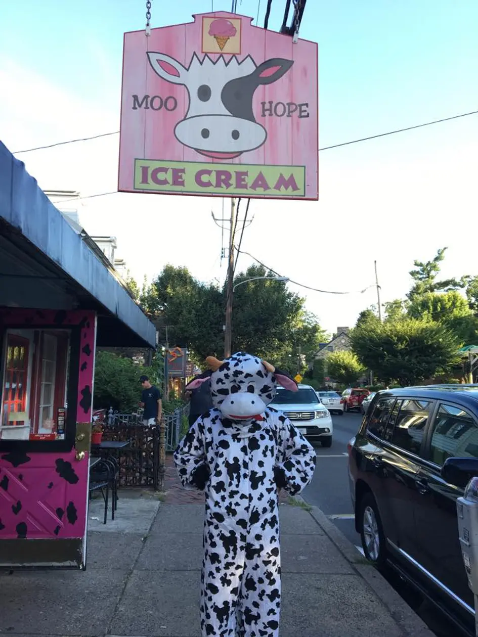 Moo Hope Ice Cream