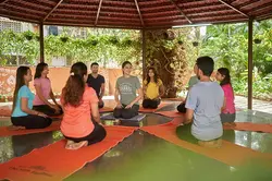 Yoga Teacher Training Courses