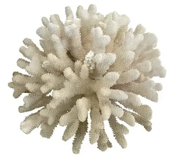 Caltron Clays & Chemicals
