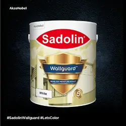  Sadolin Paint (Wallguard)