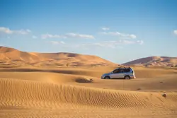 Travel Insurance
