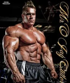 Muscle   Mechanic
