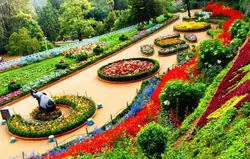 Mysore to Ooty Taxi