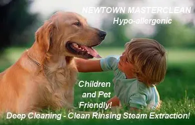 Newtown Carpet Cleaners - Masterclean