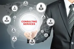 Consulting Services