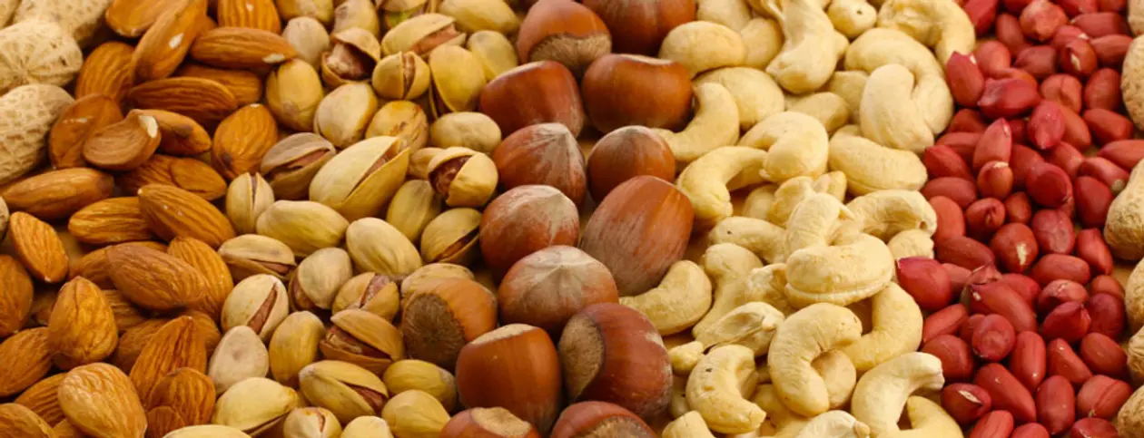 Nuts Hub