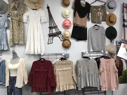 Clothing Collection