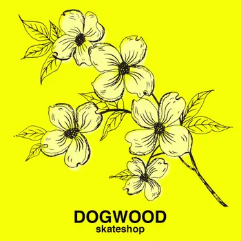 Dogwood Skate Shop